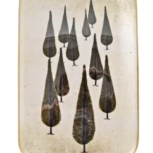 Plateau Réception - Cipres - Boncoeurs