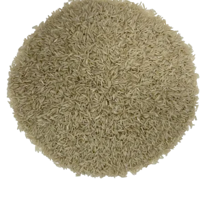 Senfas -- Riz basmati semi complet bio Vrac (origine Pakistan) - 5 kg