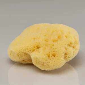 Jolis Baumes -- Eponge naturelle Vrac